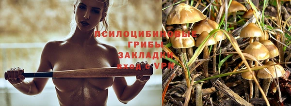 круглые Горно-Алтайск