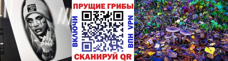 Псилоцибиновые грибы GOLDEN TEACHER  это клад  Невель 